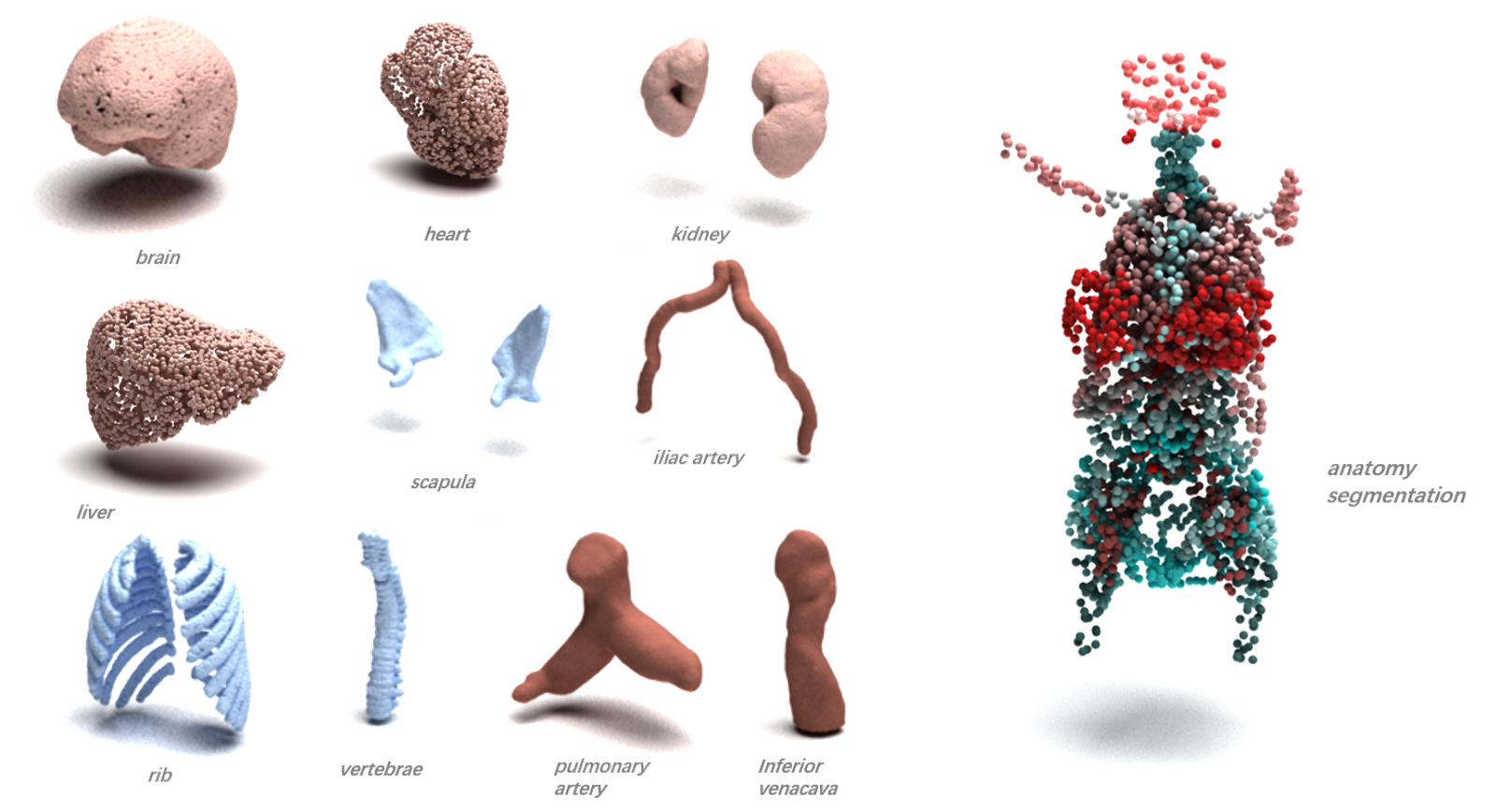 _images/medpoints.png
